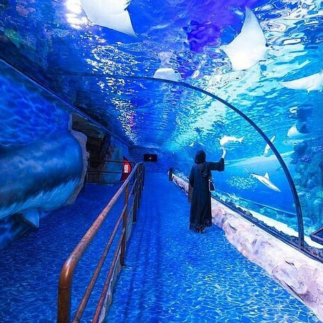 DUBAI AQUARIUM UNDERWATER ZOO