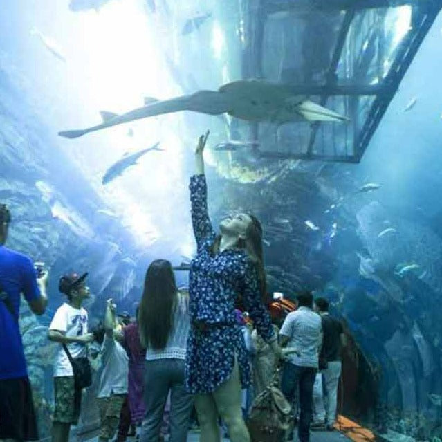 DUBAI AQUARIUM UNDERWATER ZOO