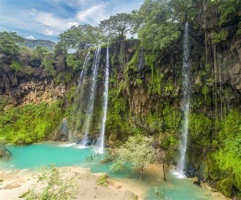 Salalah-Oman