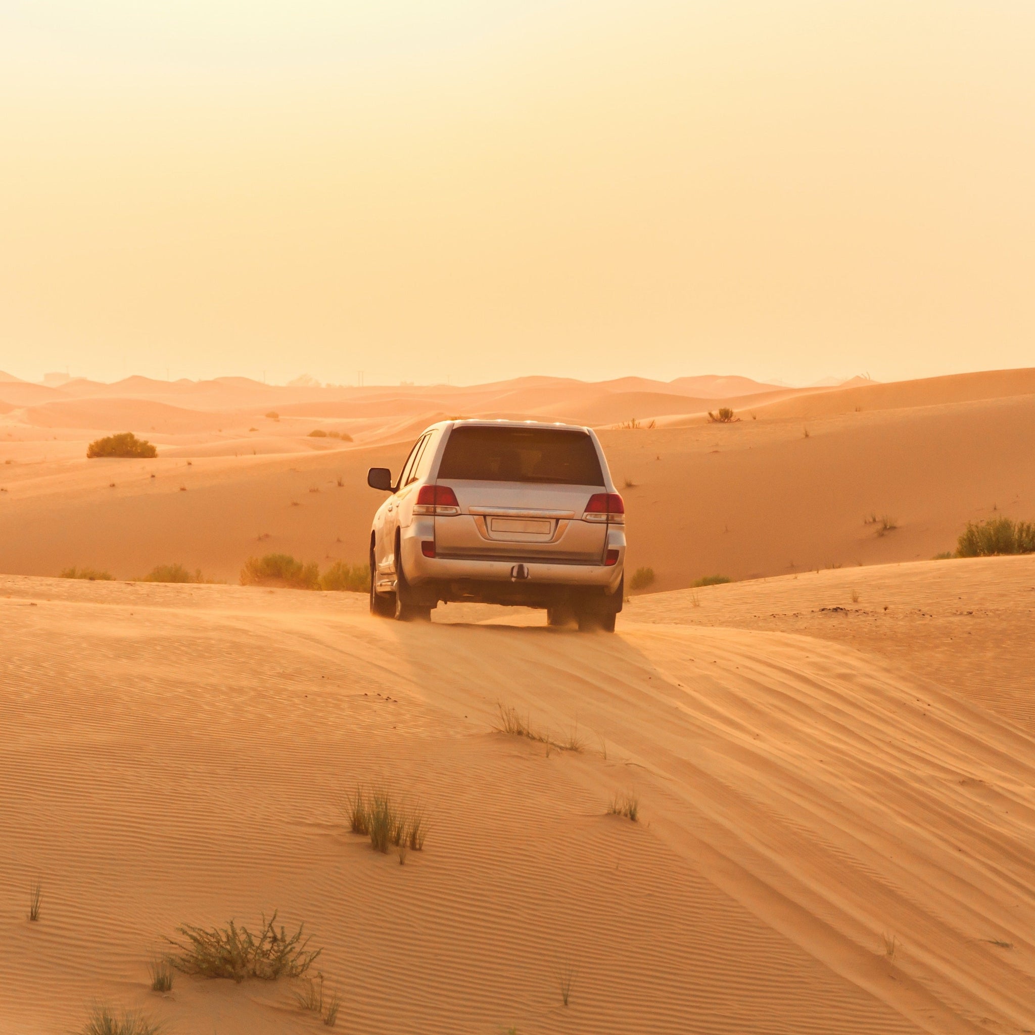 Red Dunes Safari